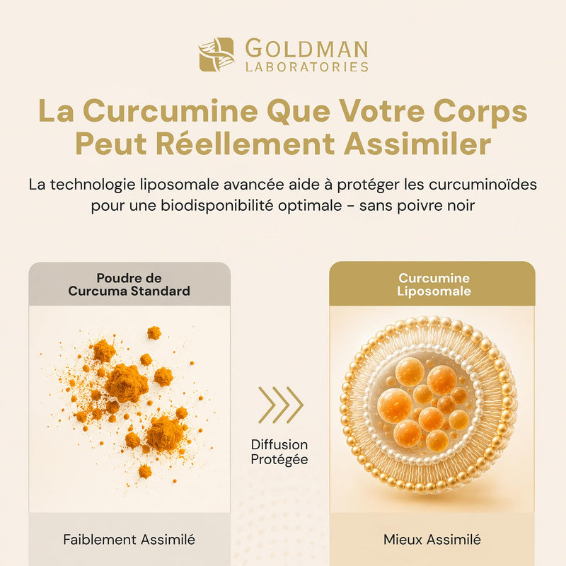 Liposomal Turmeric Curcumin Capsules with Vitamin C - High Absorption Vegan Curcumin Supplement for Joint, Immune & Antioxidant Support, No Black Pepper - 30 Capsules