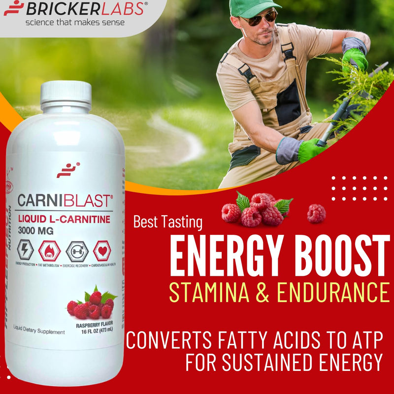 [Australia] - CARNIBLAST Liquid L-Carnitine 3000mg, Premium L Carnitine Carnipure, Energy Nutrition, Energy Supplement and Energy Booster, Raspberry, 16 fl oz 