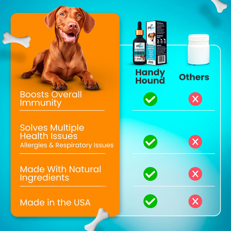 Natural Antibiotics for Dogs – Gentle, Effective Dog Antibiotic - Provides Dog Allergy Relief and Dog Itching Skin Relief - Premium Antibiotics for Dogs with Bacon Flavor - PawsPlanet Australia