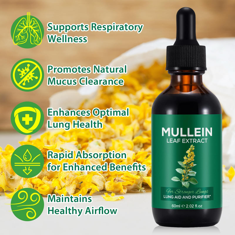 Mullein Drops for Lungs, Mullein Leaf Extract Supplement, Natural Mullein Herbal Supplements, Mullein Leaf Extract for Lung Cleanse and Respiratory Support - 2.02 fl oz 60 ml (Pack of 1)