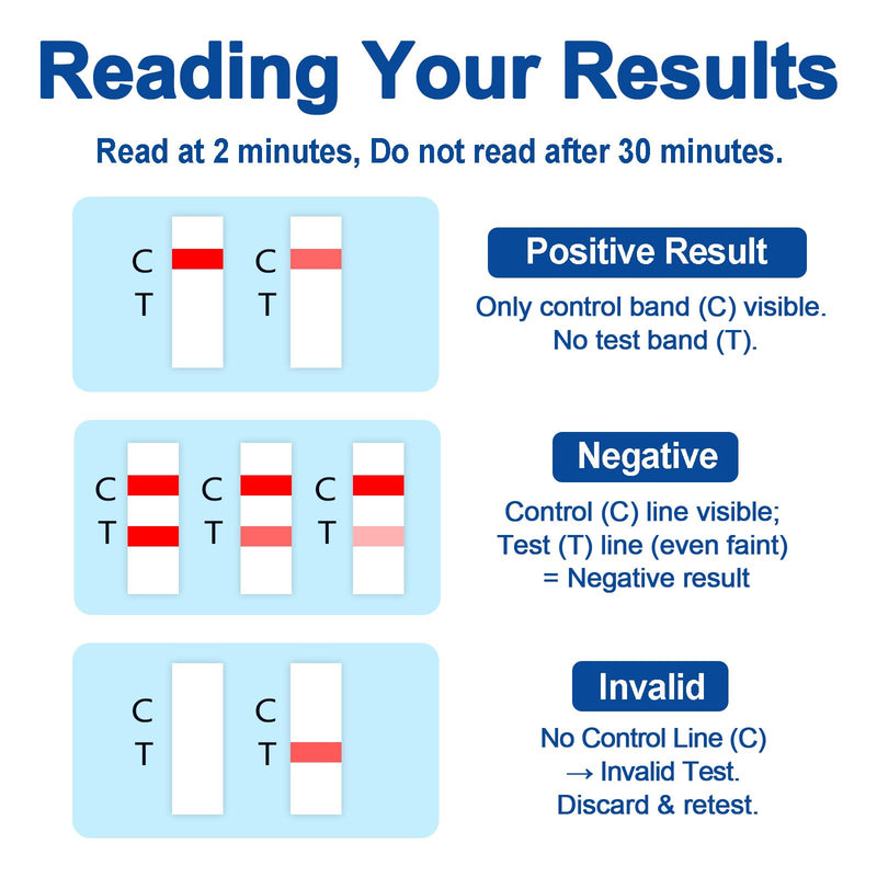 ETG Alcohol Urine Strips, High Sensitivity | Rapid 2-Minute Results for Home/Workplace/Rehab Testing | 24-80 Hour Detection Window [8 Pack] Purple