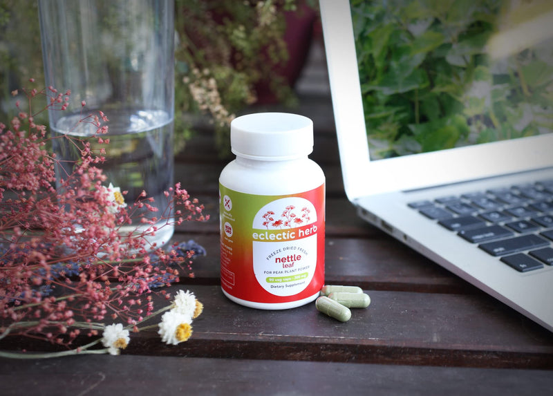 [Australia] - Eclectic Herb Raw Freeze-Dried Non-GMO Nettle Leaf | Healthy Sinus Support, Histamine Response & Respiratory Wellness | 90 Veg Caps (300 mg) | US Grown, Vegan Blue 90 Count (Pack of 1) 
