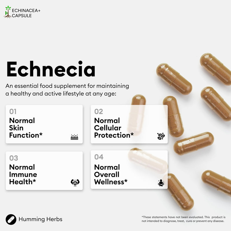 Humming Herbs Echinacea Supplement 6 in 1 | with Holy Basil Quercetin Vitamin C Zinc and Vitamin D3 | 1220 mg per Serving | 120 Vegan Capsules | 60 Day Supply