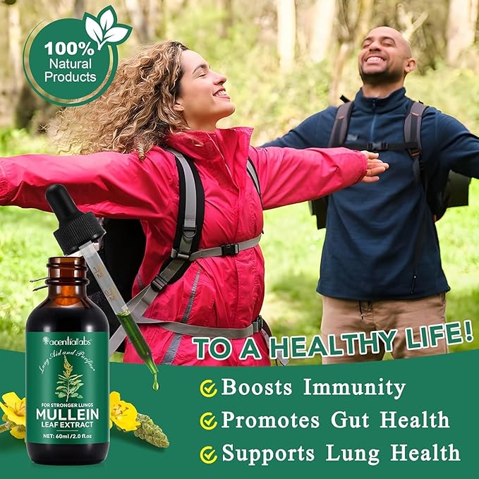 Mullein Drops for Lungs, 2 Pack Mullein Leaf Extract with Chlorophyll, for Lungs Cleanse and Healthy Breathing, 60ml/Pack, 2 Month Supply