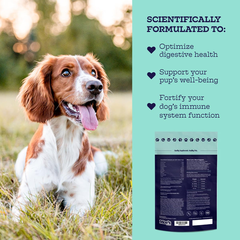 Moe's Healthy Pets Prebiotic and Probiotic for Dogs - Dog Probiotics for Digestive Health and Vitality - Probiotic Chews for Dogs with Pumpkin Flavor - Fiber Supplement for Gut Health for Dogs - PawsPlanet Australia