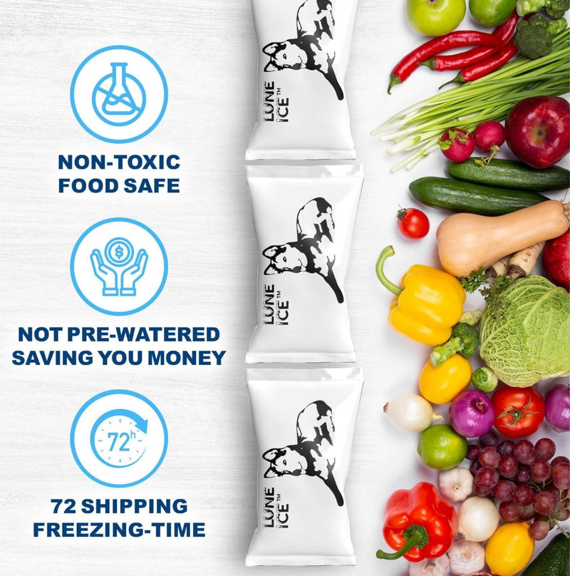 [Australia] - Ice Pack Bulk 12-600-Dry Ice for Shipping Frozen Food-Lunch Box Ice Packs-48+Hours-15x12in/5x3in-Reusable ice packs-Freezer packs-Ice packs shipping-Dry ice packs for shipping-12 Pack-Luna Ice 12 Pack 