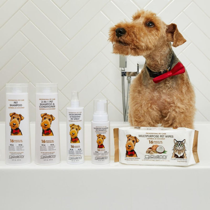 GIOVANNI Professional Foaming Waterless Pet Shampoo - Oatmeal & Coconut Helps Neutralize Odors, Cleanses, Silkens, Controls Static, Freshens Fur - 8 oz 8 Fl Oz (Pack of 1) - PawsPlanet Australia