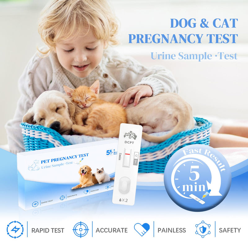 At-Home Dog & Cat Pregnancy Test - 99% Accurate Early Detection. Simple Urine Test Gives Rapid Results in Just 5 Minutes. Painless & Easy Pregnancy Check for Dogs and Cats