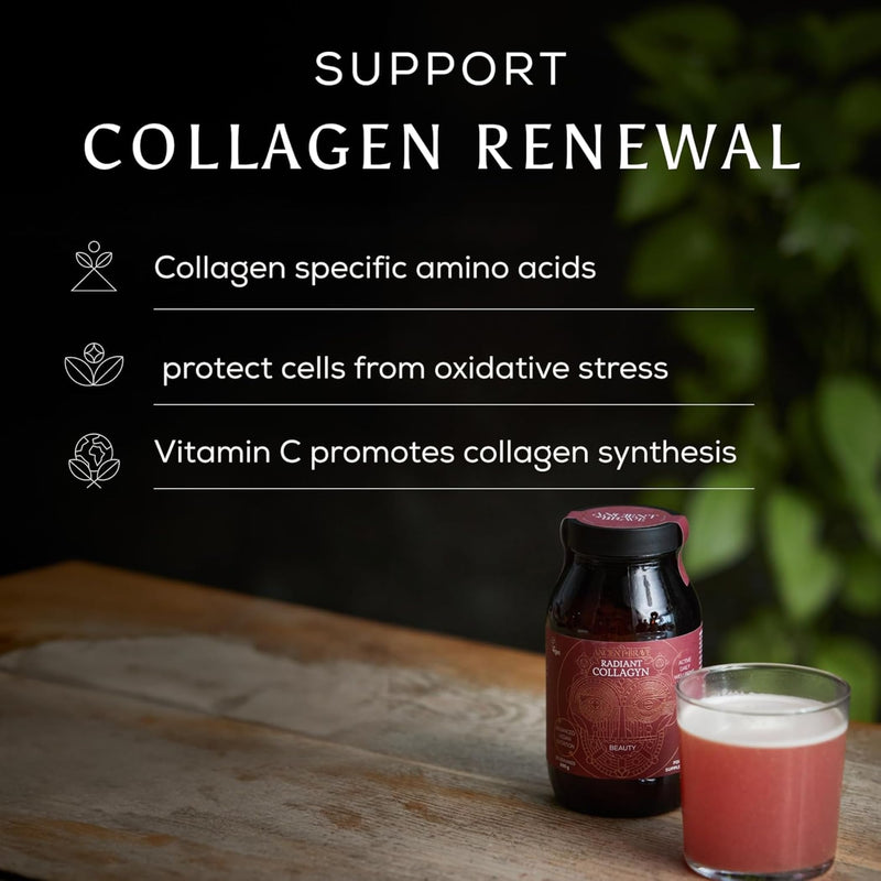 Ancient + Brave - Radiant Collagyn for Beauty 200 Grams - Vegan Collagen Powder with Chicory Root - Plant Based Supplement for Hair, Skin & Nails - Non-GMO, Paleo & Keto
