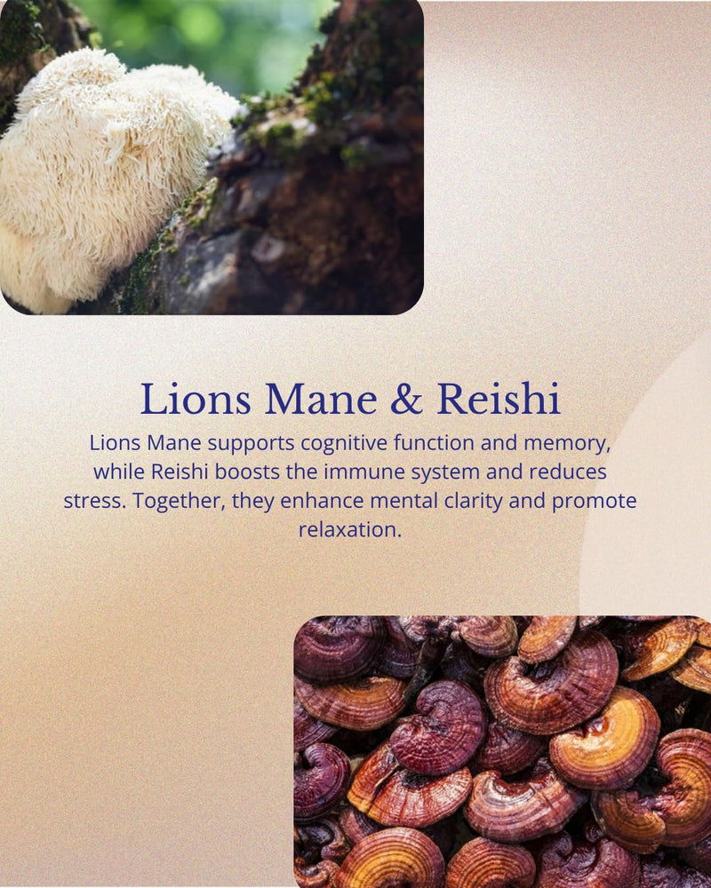 Mushroom & Immunity Complex – 5 Mushroom Blend with Lion’s Mane, Reishi, Shiitake, Maitake & Cordyceps – With Vitamin D3 & Zinc – Immune & Daily Wellness Support – 60 Vegan Capsules – UK Made