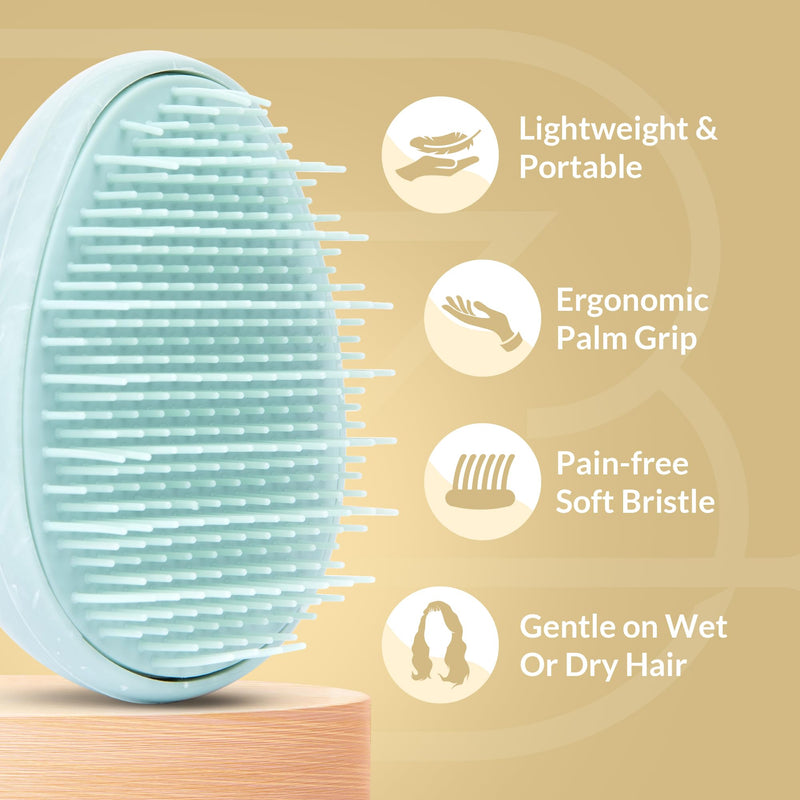 Travel Hairbrush - Mini Hair Detangler for Women Teens Kids - Sensory Scalp Massager - Small Portable Comb - Thick, Curly, Straight, Wet, Dry - Compact Detangler - Purse Essentials Aquamarine