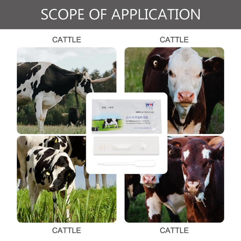 PATKAW 3 Pcs Pregnant Tester Cow Pregnancy Test Paper Pigs Pregnancy Test Strip Horse Pregnancy Test Strip Cattle Pregnancy Test Strips Farm Testing Tool Livestock Pregnant Test Paper Sow