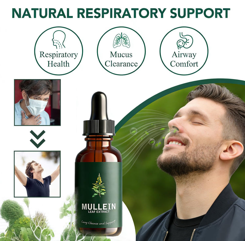 Mullein Leaf Extract Liquid Drops 60ml with Chlorophyll, Super Concentrated Alcohol-Free Tincture for Lung Cleanse & Respiratory Health, Fast Absorption Herbal Supplement