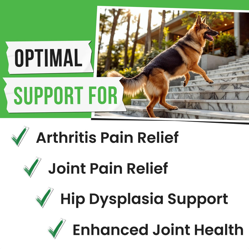 Glucosamine for Dogs - Joints Health Treats w/Omega Fish Oil - Natural Joint Pain Relief - Canine Hip and Joint Supplement w/Chondroitin + MSM + Turmeric + Calcium - 120 Beef Chews 120 Glucosamine Treats - PawsPlanet Australia