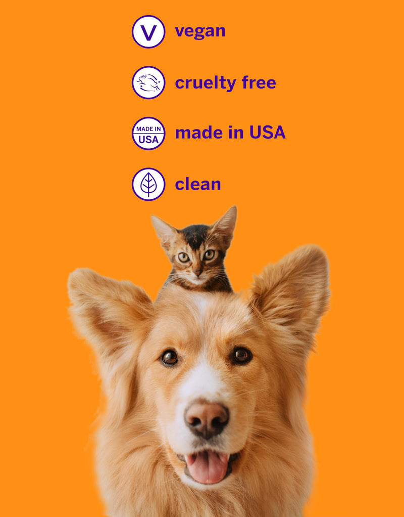 [Australia] - Petsmile Professional Pet Teeth Brushing Kit for Cats & Dogs - Only VOHC Accepted Toothpaste & Patented Toothbrush - Proven to Control Plaque & Tartar Calprox Formula (Say Cheese, 4.2 Oz) Say Cheese 4.2 Ounce (Pack of 1) 