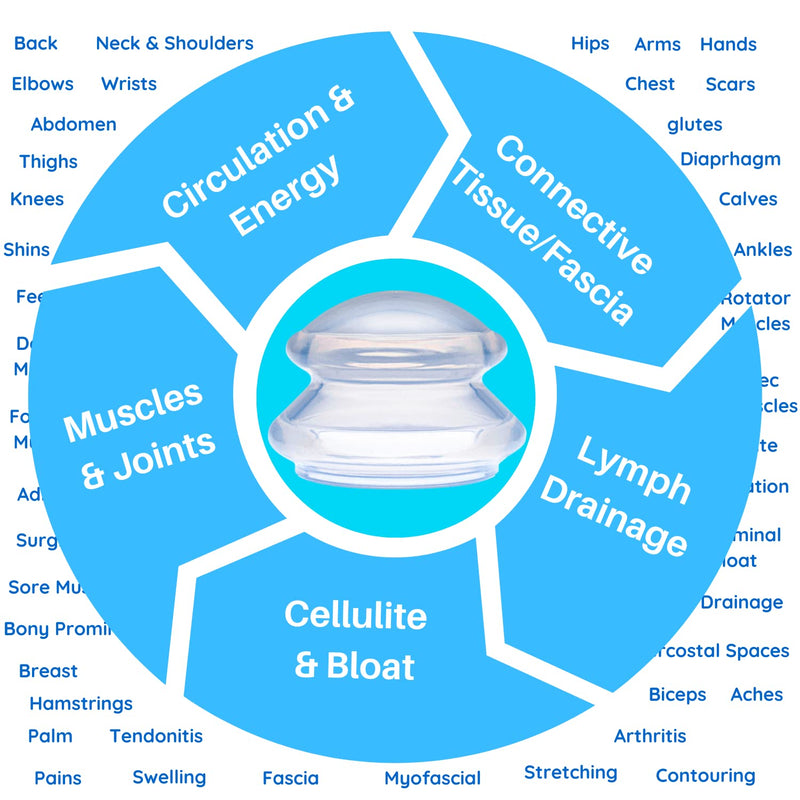 Cupping Warehouse Supreme 4 Intermediate Pro 5560 Beginner Silicone Cupping Set – 4 Cups for Body Sculpting, Massage Therapy, Pain Relief, Cellulite Reduction (S1.3, M1.6, L2.1, XL2.75)