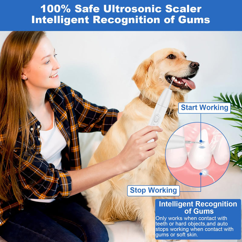 [Australia] - Dog Tooth Brushing Kit, Dogs Teeth Cleaning Kit with Led Light, 3 Modes Doggie Plaque and Tartar Remover, Dental Care for Cat,Low Noise Ultrasonic Dog Teeth Cleaner, White 