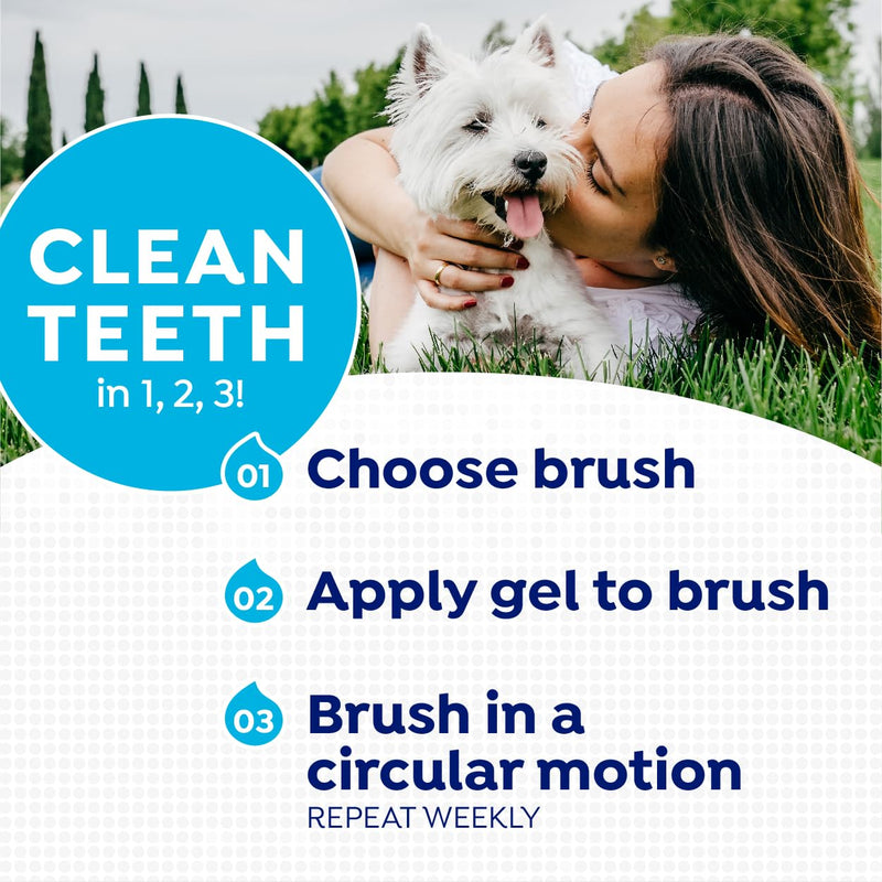 [Australia] - Naturel Promise Fresh Dental Toothbrush and Toothpaste Kit for Dogs, Teeth Cleaning Kit for Plaque & Tartar Removal, Contains Finger Toothbrush, Breath Freshener, Dog Dental Care 