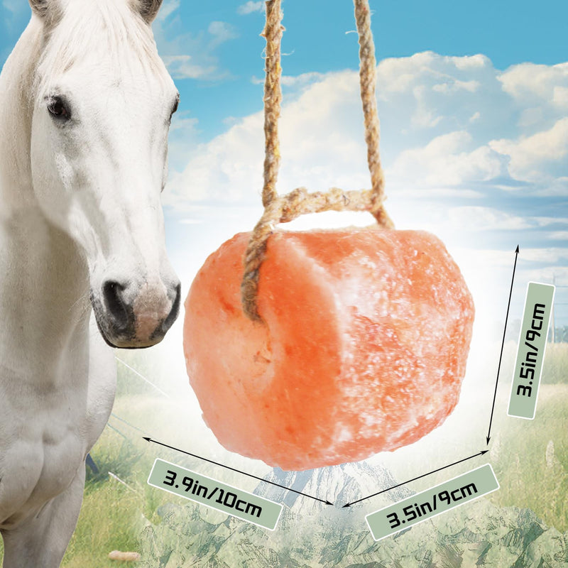Himalayan Pink Salt Block for Horses,Natural Mineral Salt Block on Rope Himalayan Rock Deer Salt Lick for Horses Deer Cattle Sheep and Other Livestock (1 Pcs,2.4-3.3 lbs) - PawsPlanet Australia