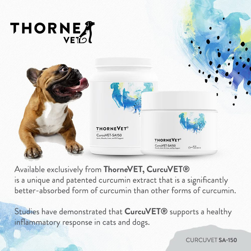 ThorneVet CurcuVET-SA150 Powder, 90 Scoops - PawsPlanet Australia