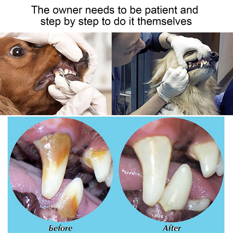 [Australia] - EUZUXU Tartar Remover Dog Tooth Cleaner Double Head Dental Care Set of 4 Professional Teeth Cleaning Tartar Remover Made of Stainless Steel 