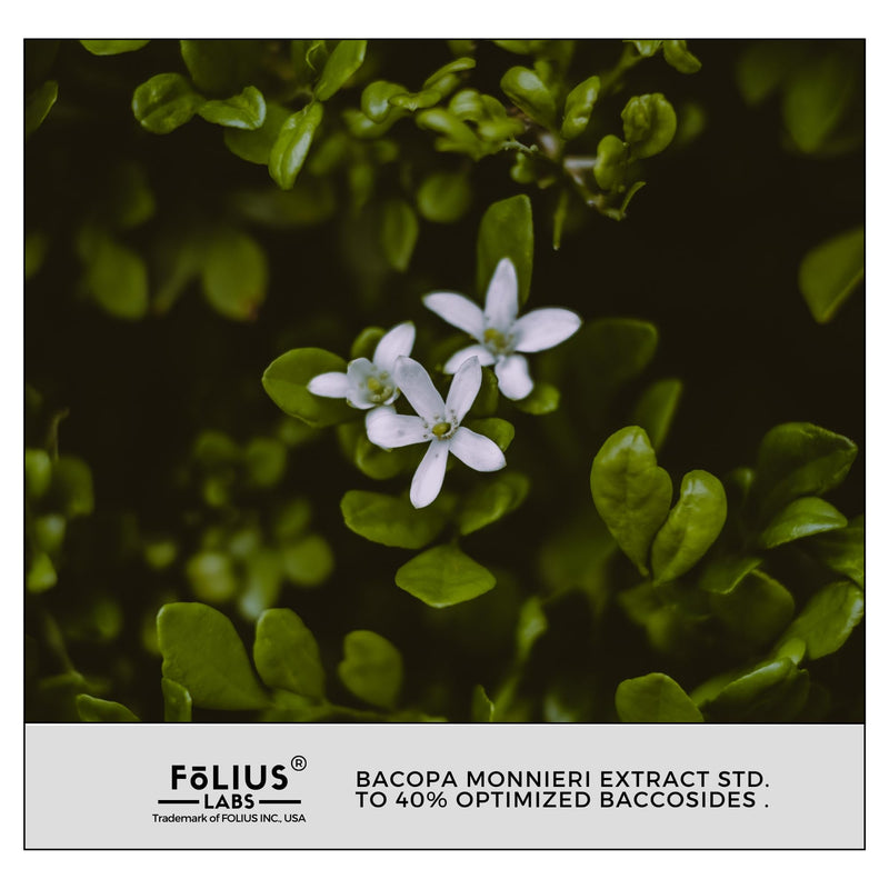 [Australia] - Bacopa Monnieri Capsules 750mg ‚Äì Herbal Supplement with 40% Bacosides Bacopa Monnieri - Helps to Support Memory and Cognitive Ability ‚Äì 120 Capsules 