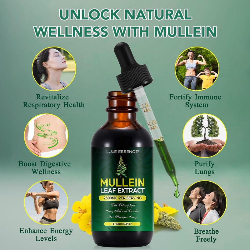 Mullein Drops for Lungs 300,000‬mg, Lung Detox & Cleanse, 16 in 1 Vegan Mullein Leaf Extract Tincture with Chlorophyll, Elderberry, etc, Natural Herbal Supplement for Respiratory, Immune, 30 Servings Natural Flavor 2 Fl Oz (Pack of 1)