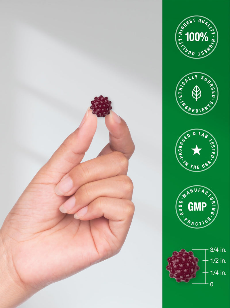 [Australia] - Horbaach Black Elderberry Gummies | 120 Count | Sambucus Extract | with Zinc and Vitamin C | Berry Flavor | Vegan, Non-GMO, and Gluten Free Supplement for Adults 120 Count (Pack of 1) 