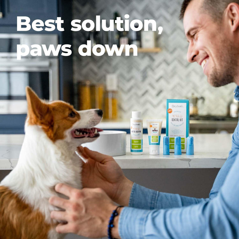 Oxyfresh Premium Pet Dental Kit for Dogs & Cats – Easy Solution for Fresh Breath, Clean Teeth, Control Plaque & Tartar – Vet Formulated Pet Toothpaste 1oz + Water Additive 3oz + 3 LG Brushes Kit Small Kit