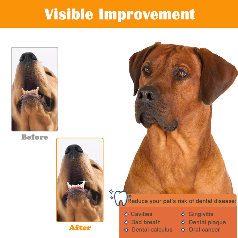 Dog Teeth Cleaning Wipes, Pet Dental Finger Wipes for Dogs and Cats, Dog Dental Care Wipes, Reduce Plaque & Tartar Buildup, Freshen Breath, Cleaner Mouth, Coconut Scent, 50Pcs - PawsPlanet Australia
