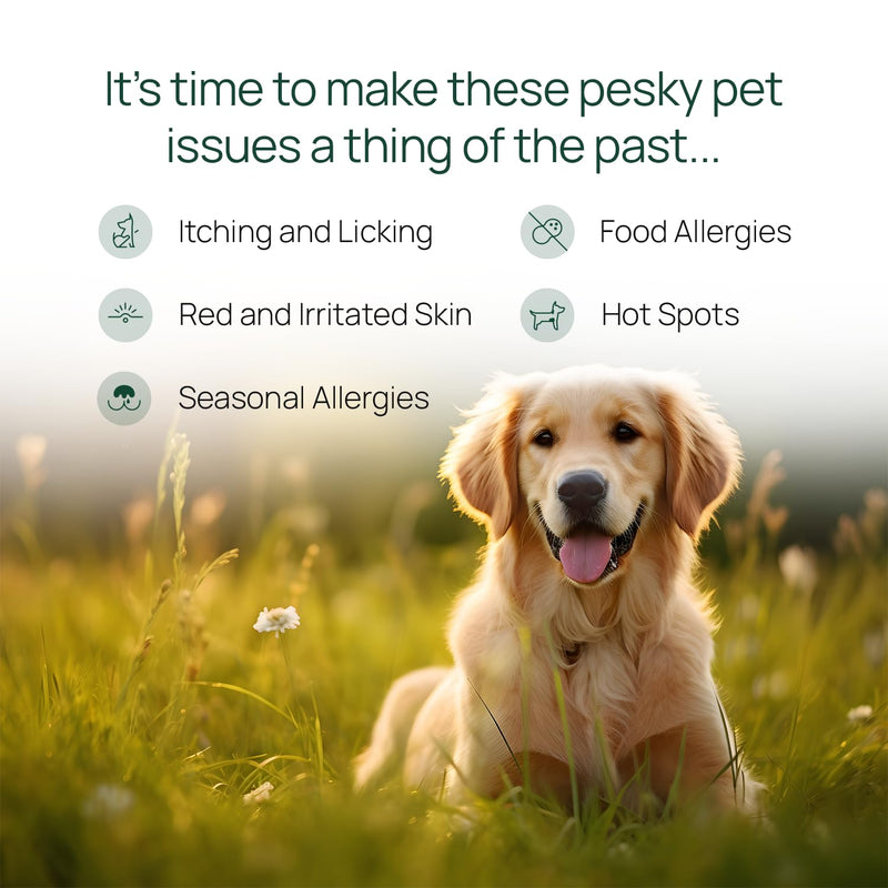 pawTree Natural Allergy Support Plus for Dogs-Ideal for Itching, Irritated Skin, Seasonal and Food Allergies, Hot Spots. Supplement Your pet Will Love. Small Chews for Pets - 60 Count (Small) - PawsPlanet Australia