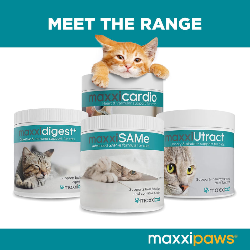 maxxicardio Heart & Cardiovascular Powder Supplement for Cats, 3.2oz - PawsPlanet Australia