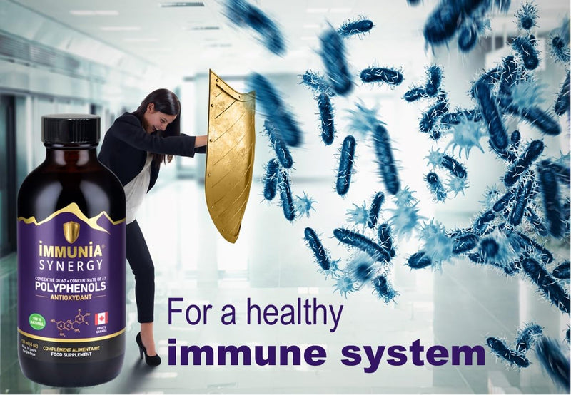 Synergy. Elderberry Supplement for Immune System Support - Powerful Natural Antioxidant. POLYPHENOLS Concentrate. Elderberries from Canada (1-Pack) 1 count (Pack of 1)