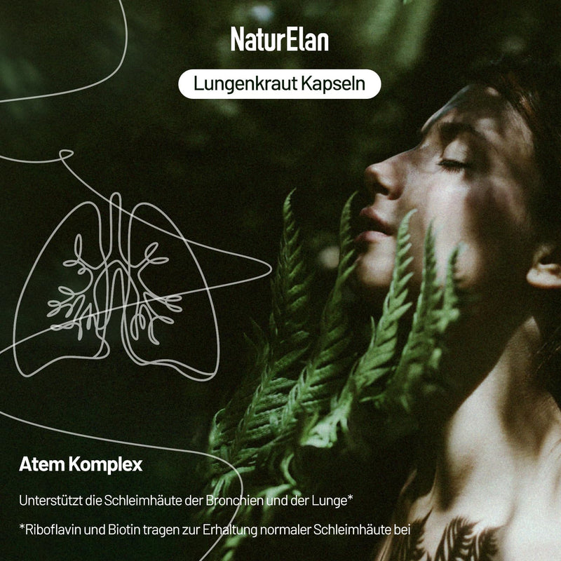 [Australia] - Lungwort capsules - breath complex, 120 capsules with 400 mg per daily dose, with lungwort, sage, peppermint, licorice root, polyphenol extracts and much more. Vegan, without additives, produced in Germany 