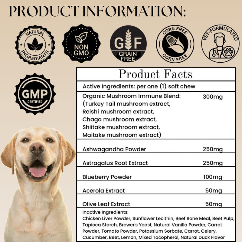 Dogs Immune Support Mushroom Supplement - Supports Longevity, Cognition, Joint, Cellular & Gut Health - All Natural Organic, GrainFree - Buddy Guard for Lumps and Bumps, Chicken Flavor - 90 Chews - PawsPlanet Australia