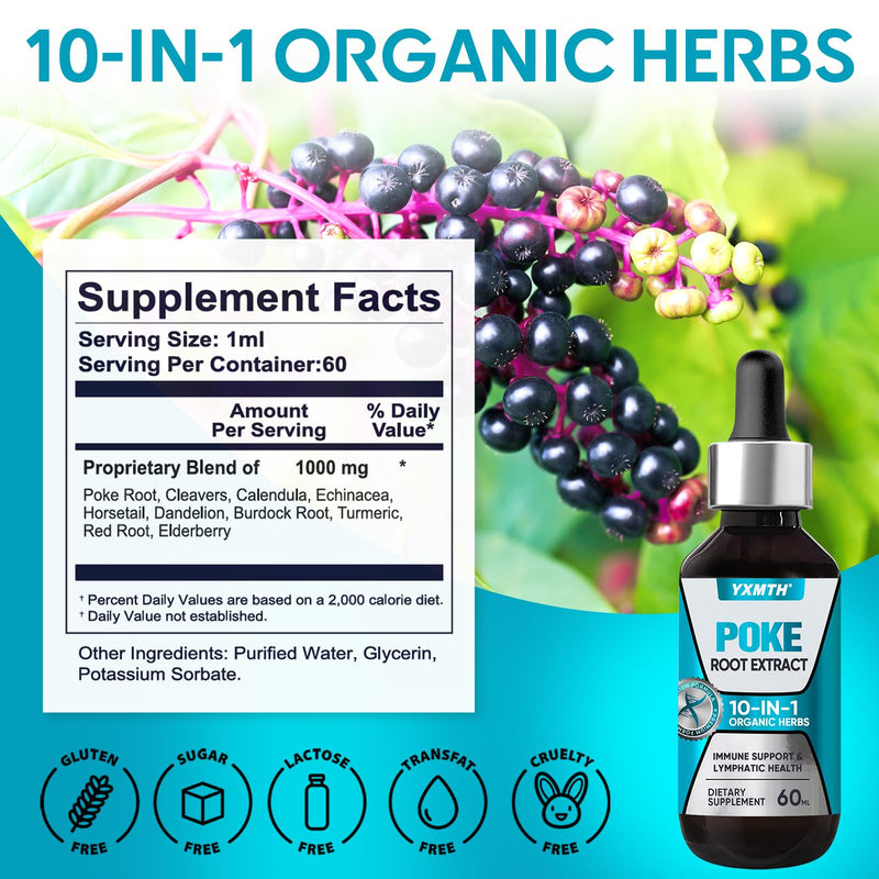 [Australia] - Organic Poke Root Tincture | 10-in-1 Alcohol-Free Liquid Extract (2 fl oz) - Vegan Supplement for Immune & Lymphatic System Support Organicpoke 