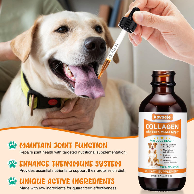 Liquid Collagen for Dogs Added Natural Pet Probiotics, Enhance Joint Support and Mobility, Collagen for Dogs Relieve Pet Skin Allergies, Itching, Supports Joint, Skin & Coat Health, All Breeds & Ages
