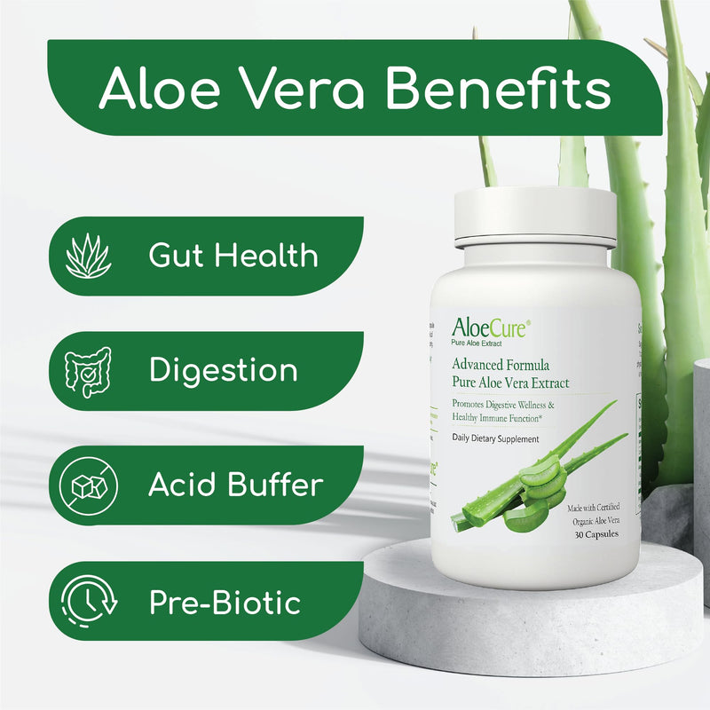 [Australia] - AloeCure Organic Aloe Vera Capsules, 130,000mg Inner Aloe Leaf Equivelant per Serving, Support Gut Health & Digestive Comfort, Stomach Acid Buffer, Natural Immune Supplement, Aloin Free, 30 Capsules 1 Bottle (30 Capsules) 