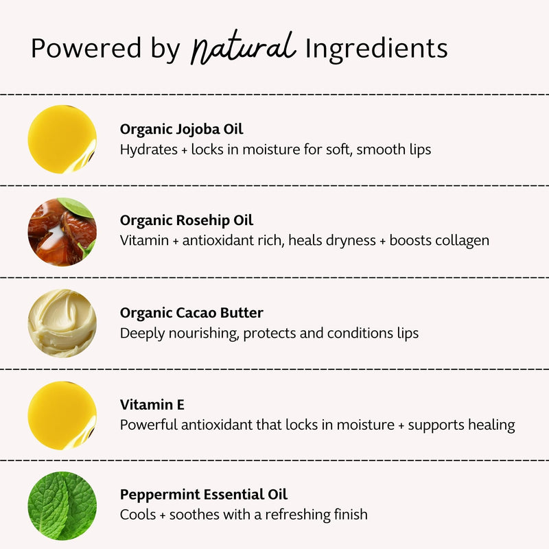 Slo Hydrating Lip Balm - All Natural Ingredients, Minty Lip Balm with Organic Jojoba, Rosehip, Cocoa Butter - Vegan, Cruelty-Free, Paper Packaging - Peppermint + Vitamin E (0.28oz/8g) 1 Pack (0.28oz/8g)