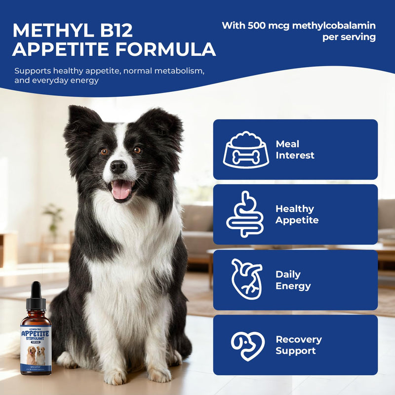 Liquid Vitamin B12 Appetite Stimulant for Dogs, Methylcobalamin Supplement | Methylcobalamin (Methyl B12) Drops to Boost Appetite, Energy, Mood & Recovery, Bacon Flavor Dog Supplement, 2 fl oz