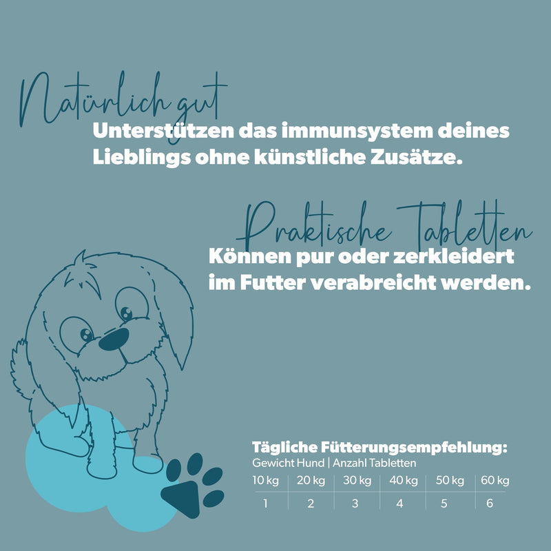 [Australia] - Alpendog IMMUN Booster - 120 gram tablets - natural vitamin B complex with brewer's yeast 