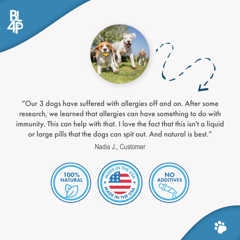 Dog Allergy Relief & Immune Support, Natural Holistic Itch Relief for Dogs, Immune System Guard and Allergy Support, Including Seasonal Allergies, Sneezing, Runny Nose and Itching, 400 Small Pills - PawsPlanet Australia