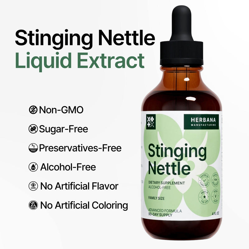 [Australia] - Stinging Nettle Leaf and Root 4 fl oz Liquid Extract - Natural Urinary & Kidney Support for Man and Woman - Organic Urtica Dioica - High Potency Herbal Supplement - 90-Day Supply 4 Fl Oz (Pack of 1) 