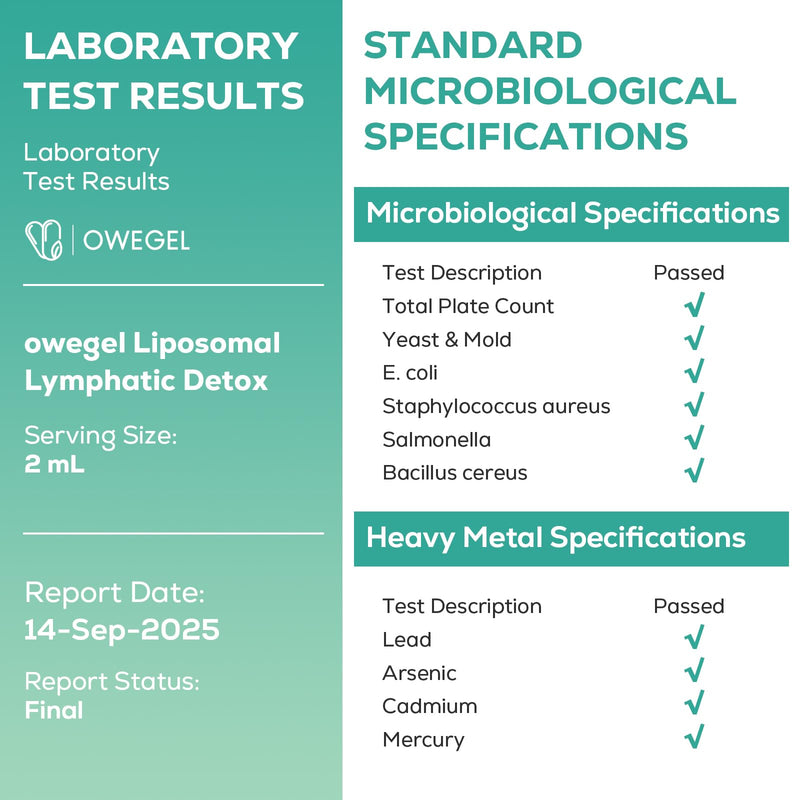 [Australia] - Liposomal Lymphatic Drainage Drops 2000mg ‚Äì Immune & Lymph System Support ‚Äì Lymphatic Detox and Cleanse with Echinacea, Red Clover, Dandelion & Cleavers ‚Äì Sugar-Free, Alcohol-Free ‚Äì 2 FL OZ 2 Fl Oz (Pack of 1) 