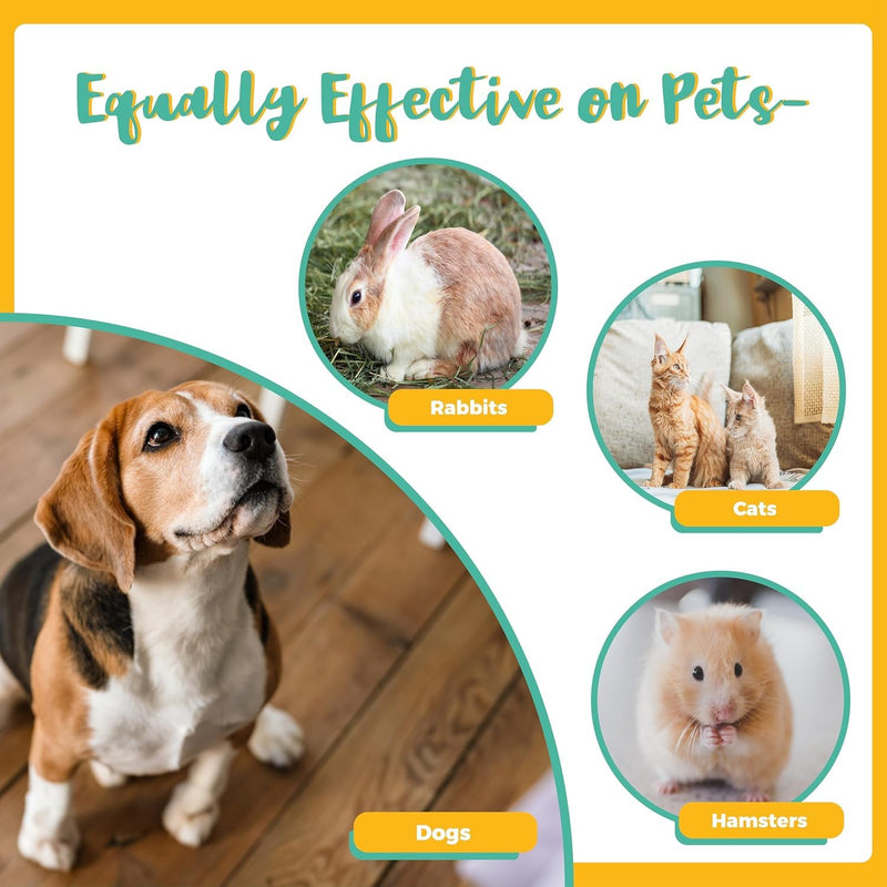 [Australia] - Professional 6-in-1 Lice, Nit & Dandruff Comb Kit | For Kids, Adults, Pets | All Hair Types | Micro Spiral, Precision & 2√ó Double-Sided Combs | Brush, Tracker & EVA Case | 