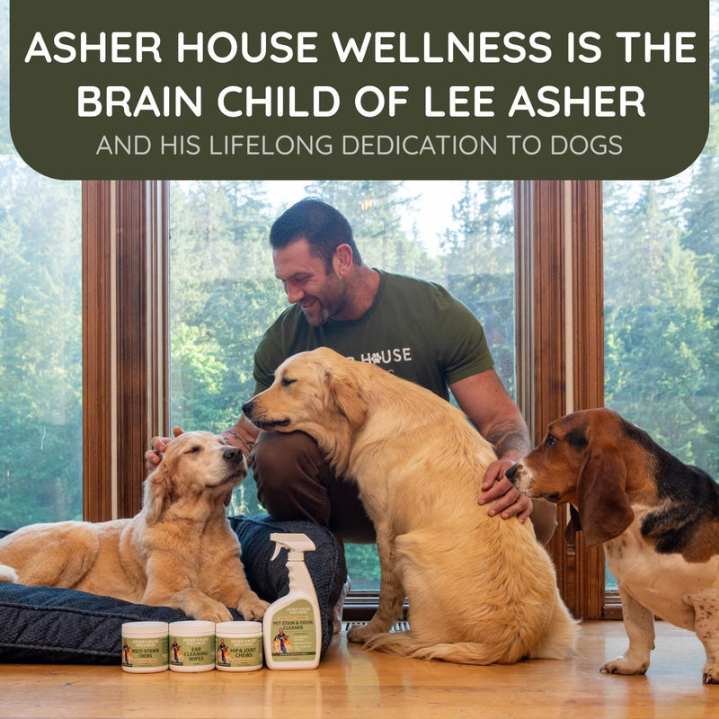Asher House Wellness Probiotics Digestive Chew for Dogs - Dog Probiotic, Digestive Enzymes for Gut Health & Digestion - Pet Chews for Diarrhea, Upset Stomach, Allergies, Itchy Skin Relief, 120 Chews - PawsPlanet Australia