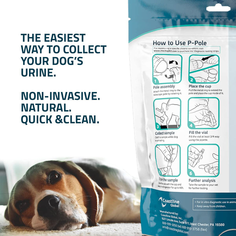 CheckUp Dog P-Pole Sample & Test UTI Bundle - P-Pole Telescopic Pole, Cup, Pipette and Vial for Dog Urine Collection with CheckUp pH, Leukocytes, and Nitrite Levels Testing Strips x 50