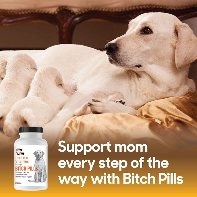 Bitch Pills - Pregnant Dog Prenatal Vitamins - 45 Tablets - PawsPlanet Australia