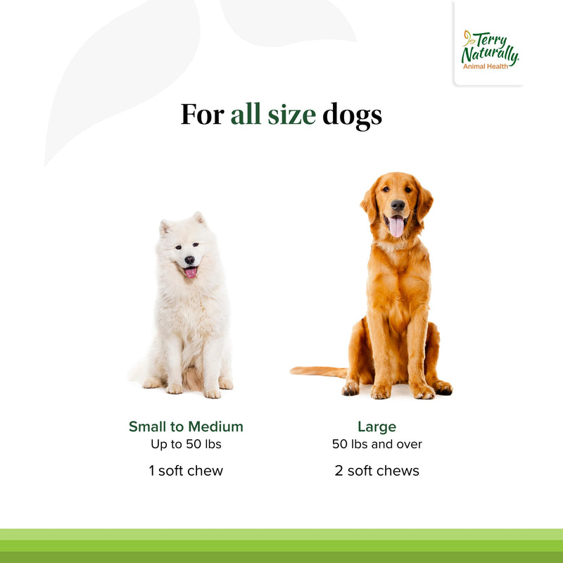 Terry Naturally Animal Health Intelligent Omega - 60 Soft Chews - Omega 3 from Salmon for Dogs - Promotes Brain & Eye Health - 60 Servings - PawsPlanet Australia
