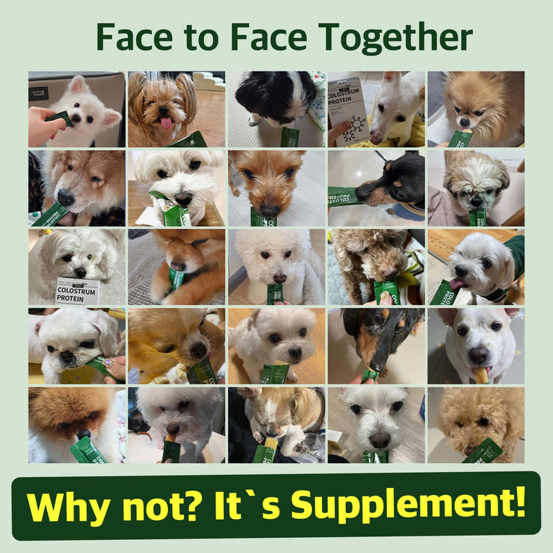 Dr.by Colostrum Protein for Dogs and Puppy – Weight Gain Supplement for Dog - Muscular Strength and Immune System Support with Colostrum, Whey Protein Isolate, Goat Milk – 30 Tubes - PawsPlanet Australia